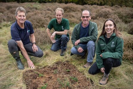 Trust restores rare plants in Epping Forest | Essex Wildlife Trust