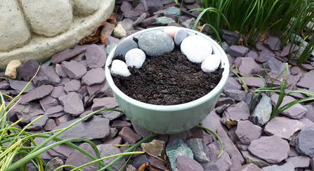 A shallow dish filled with soil, water and stones