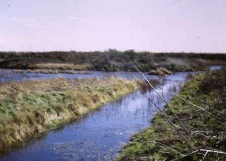 Photo taken at Fingringhoe Wick Nature Discovery Park wetlands