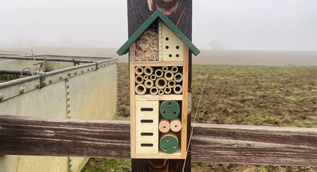 Bug hotel hanging on a fence