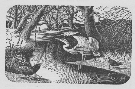 Image from Gillingham's book showing a drawing of birds amongst nature. 