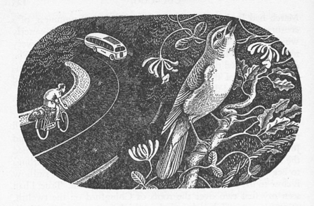 Image from Gillingham's book showing a drawing of a bird next to a busy road. 
