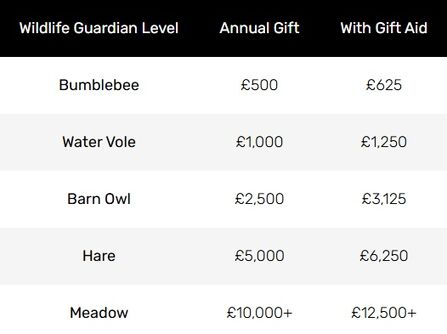 Wildlife Guardians pricing
