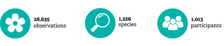 A graphic showing the BioBlitz results in 2025.