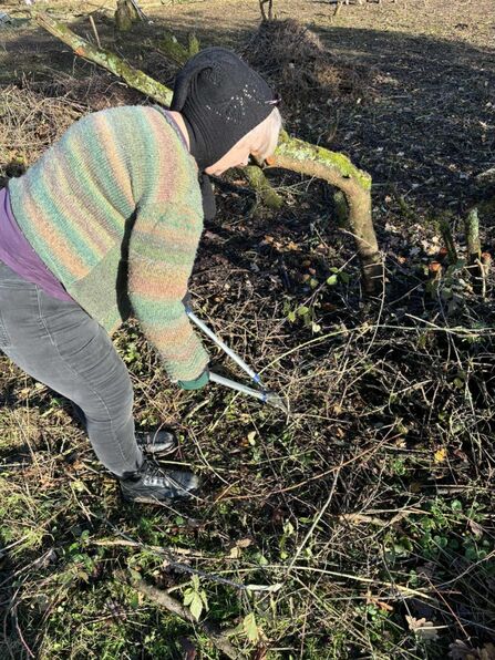 Lady cutting back vegetation on nature reserve