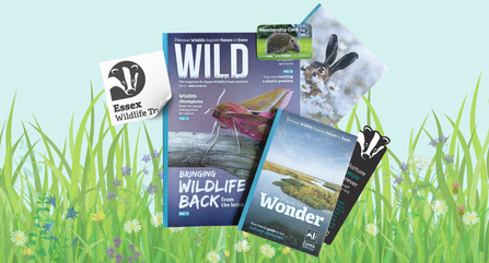 Essex Wildlife Trust membership pack