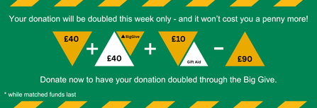 Amazing Grazing - Big Give week