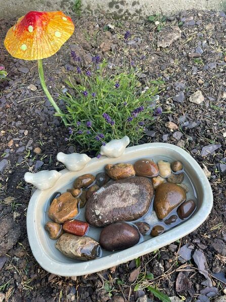Bee Bath Garden Claudia Taylor 2026