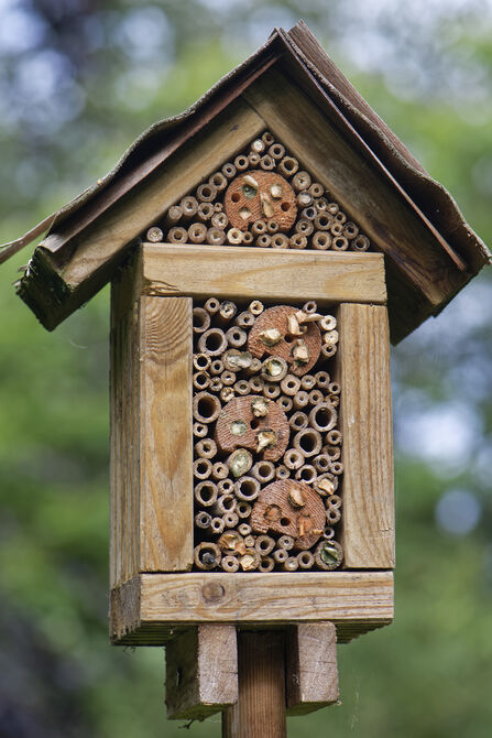 Bug Hotel