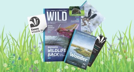 Graphic showing what is included in a membership pack