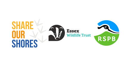 Share our Shores, Essex Wildlife Trust and RSPB logos