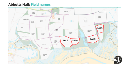 Map of fields with boundaries around the four fields where the names are up for auction.
