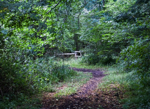 Brookes nature reserve 