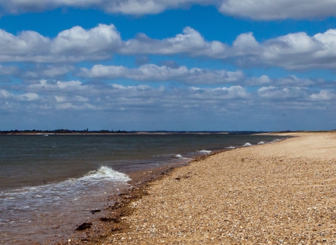 Beach at Colne Point 