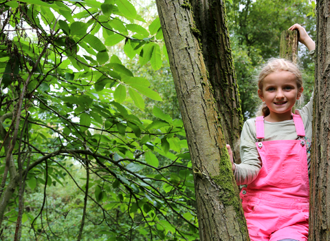 Forest School