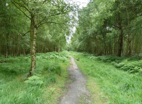 Gernon Bushes nature reserve 