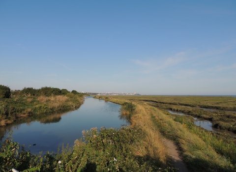 Two Tree Island nature reserve