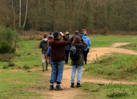 Brentwood & Billericay Local Group