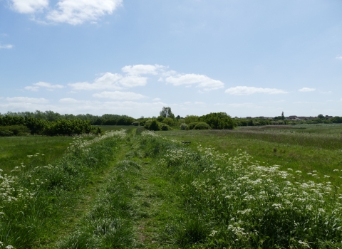 Woodham Fen Seawall