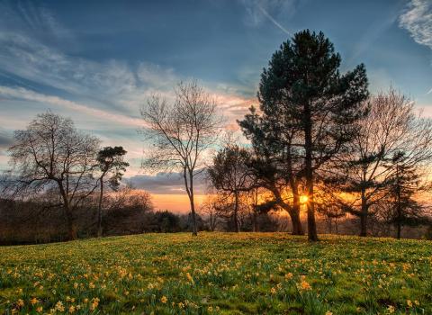 Warley Place nature reserve