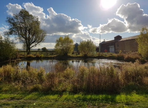 Abbotts Hall Farm