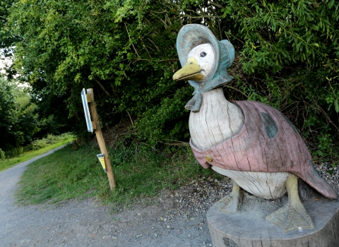 Peter Rabbit Woodland Trail