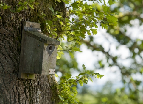 Homes and Habitats