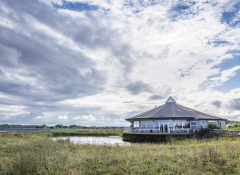 Wildfest Abberton
