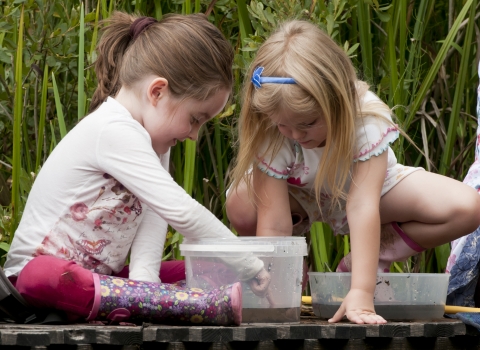 Children Pond Dipping