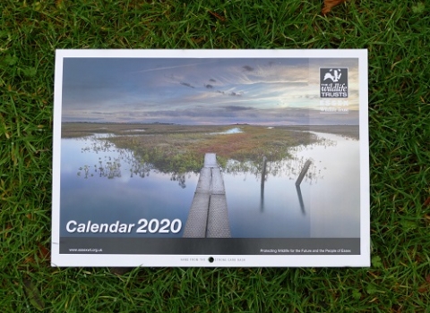 Calendar 2020