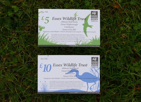 EWT Gift Vouchers