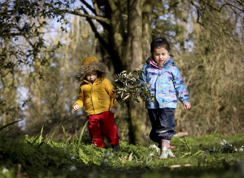 Children walking in the woods