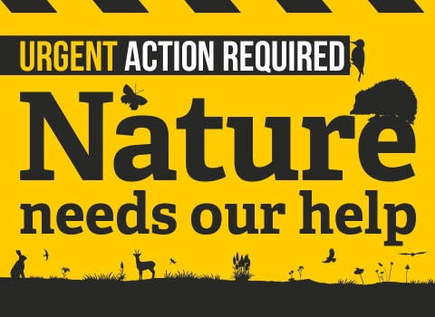 Nature needs our help