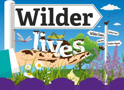 Wilder Lives