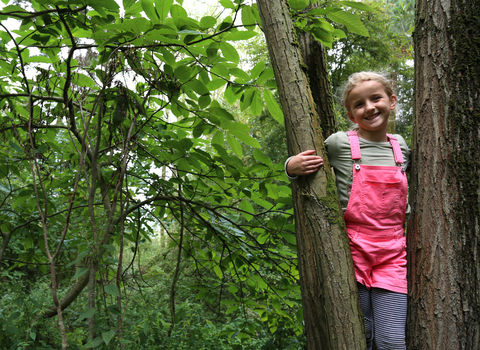 Belfairs Forest School