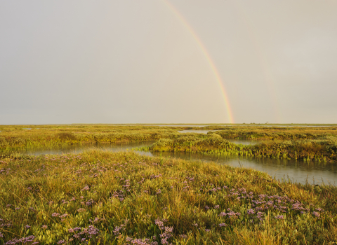 Rainbow Coastal realignment Abbotts Hall Farm