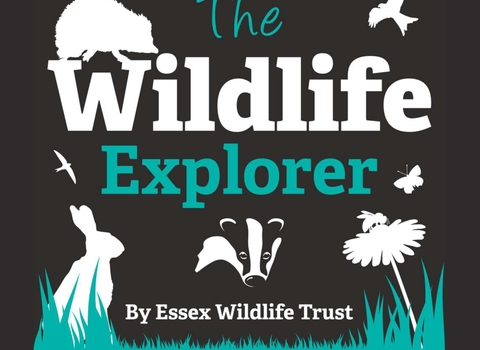 The Wildlife Explorer
