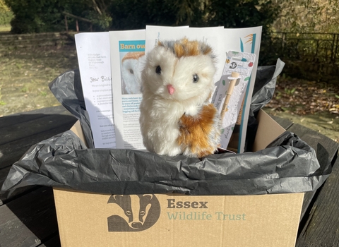 Adopt a Species - Barn Owl gift box
