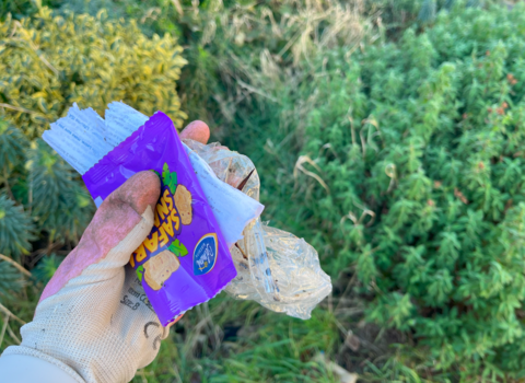 A hand holding litter