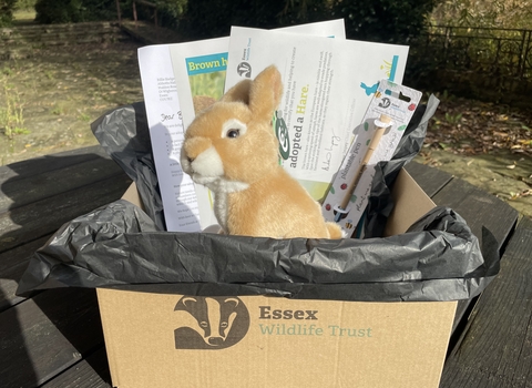 Adopt a Species - Hare gift box