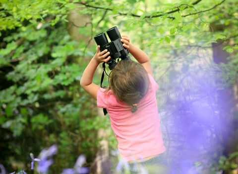 Child in bluebell wood - Photo: Tom Marshall