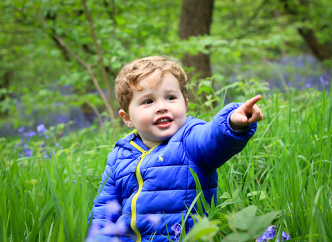 Bluebells - Photo: Tom Marshall