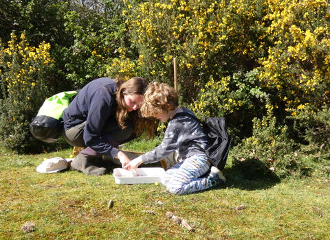 Naze Wilder Holiday Club