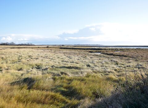Abbotts Hall saltmarsh