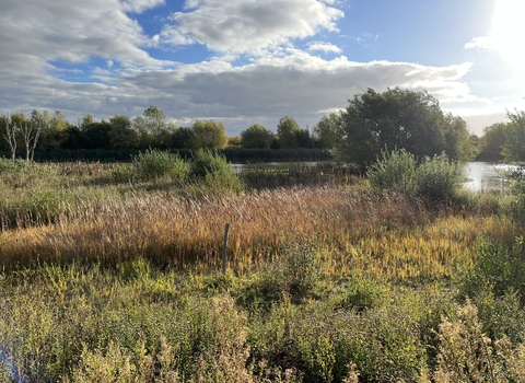 Photo of the lake at Abbotts Hall nature reserve