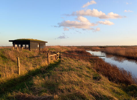 Hide at Tollesbury wick nature reserve