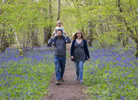 Family in bluebell wood