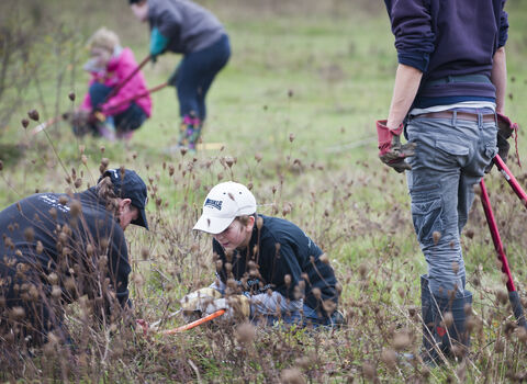 volunteers