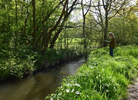 A person stands on the bank of a river reading.