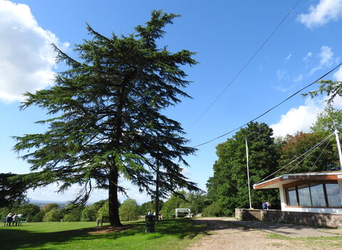 Bedfords Park Nature Discovery Centre